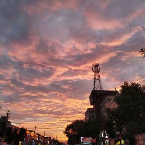 初苞被强开了后怀孕了小说
